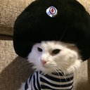 ���� �����, ���� - ��������� 4 ���� 2017 � ������ ���� ����������