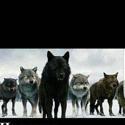 ���� ������, ������, 50 ��� - ��������� 1 ������ 2017