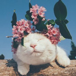 ����, ������, 47 ���