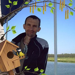 ���� �������, �����������, 53 ���� - ��������� 24 ������ 2017