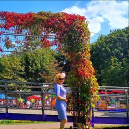 ���������, ���������, 59 ���