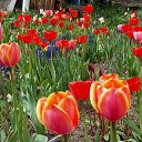 ��� 2017 �� ������� ���� ����������� (!) ��������)�