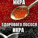 ���� �������, ������������, 55 ��� - ��������� 1 ���� 2017 � ������ ���� ����������
