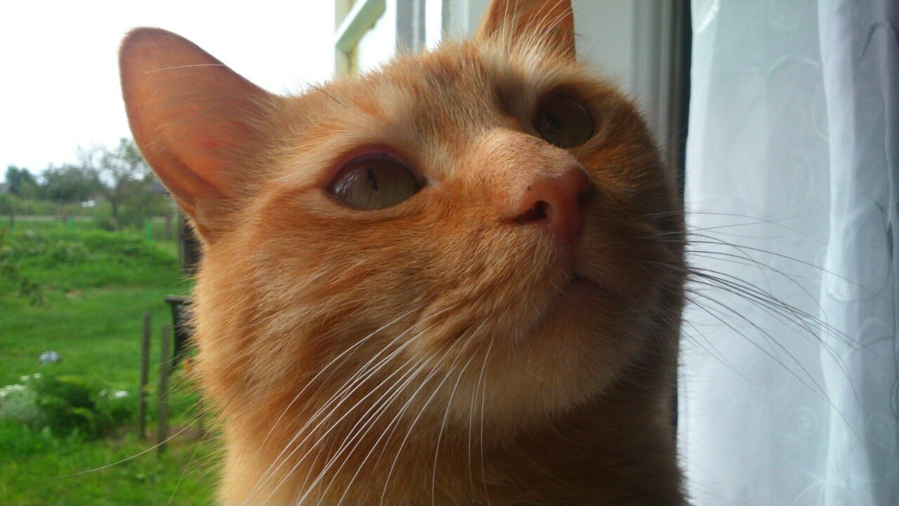 #�������_�����.���� ������������� ������� ��� ������ �� ����� �� ��������� ������� � ���������� ...