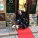  , -, 55  -  16  2017    