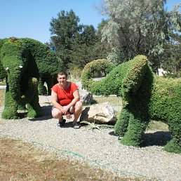 �����, ������������, 48 ���