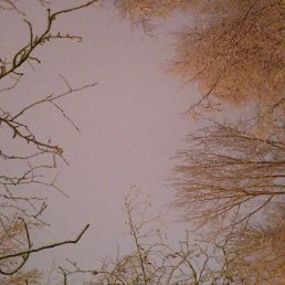 �����, ������