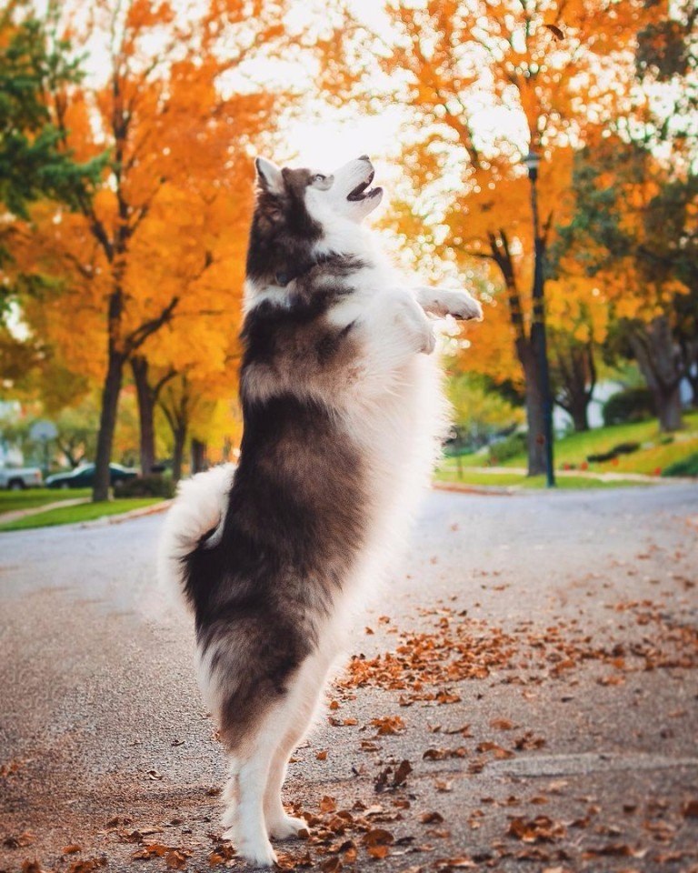 E s t h e t i q u e - 11  2017  23:53 - 2