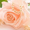 ���� �������, ������� - ��������� 7 ������ 2017