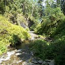 ���� ������, �����������, 35 ��� - ��������� 13 ������ 2017 � ������ ������ 2017�