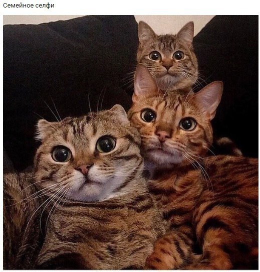 , ,  - !