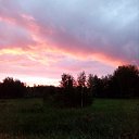  ,  , 53  -  12  2017    