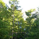 ���� �����, ������ - ��������� 22 ��� 2017 � ������ ���� ����������