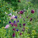 9.06.2017 �� ������� �� ��� - ��������!!!)))�