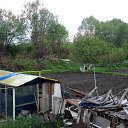 ���� Nikola, ������, 73 ���� - ��������� 17 �������� 2017