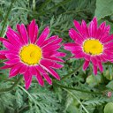 9.06.2017 �� ������� �� ��� - ��������!!!)))�