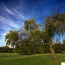 ���� ����, ������, 61 ��� - ��������� 7 ������� 2017 � ������ ������ ��������