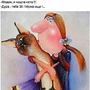 ���� �������, ������ - ��������� 1 ���� 2017 � ������ ������ ��������