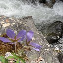 ���� �������� ����������, �����, 68 ��� - ��������� 29 ���� 2017 � ������ ������