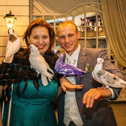 ���� �����, ������, 53 ���� - ��������� 21 ������ 2017