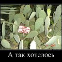 ���� ������, �����-���������, 50 ��� - ��������� 17 ���� 2017 � ������ ������ ��������