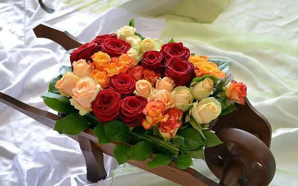 �������� �������! - 16 �������� 2017 � 17:23