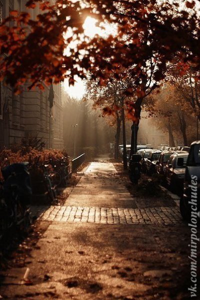    ,      ,       ... - 4