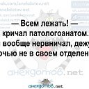 ���� ���������, ������������, 43 ���� - ��������� 13 ������ 2017 � ������ ���� ����������