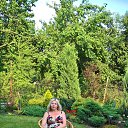 ���� ���������, ���������, 55 ��� - ��������� 23 ���� 2017 � ������ ���� ����������