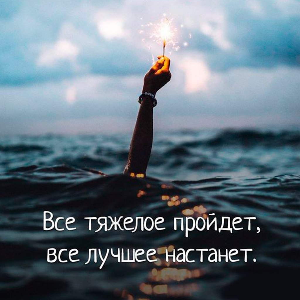   -  ,  -  - 13  2017  13:31