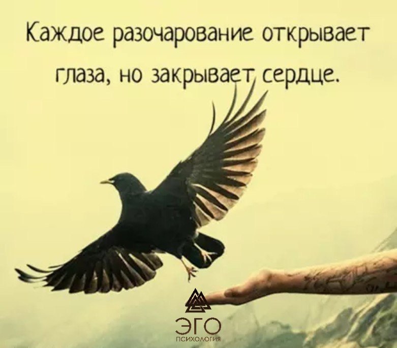  | ,  - 2  2017  11:34