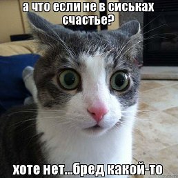 ���� ����, ����, 54 ���� - ��������� 9 ������� 2017