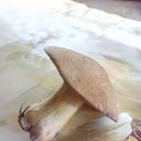 ���� ������, ������, 56 ��� - ��������� 20 �������� 2017 � ������ ������ ��������