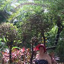 ���� ������ ���, �����������, 64 ���� - ��������� 6 ������� 2017 � ������ ���� ����������