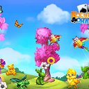 ���� �������, ������, 51 ��� - ��������� 8 ��� 2017 � ������ �������� �������-�������