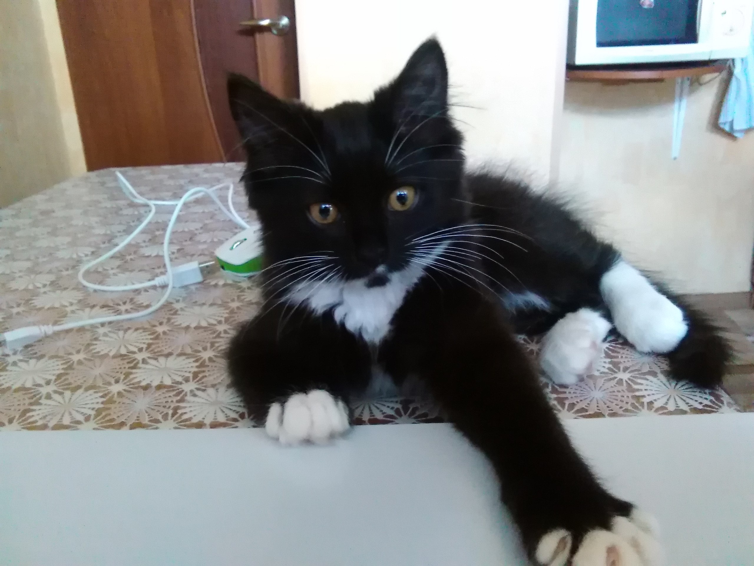 �� ���� ��� �� ������?! - �� ���� ��� �������!.. ))) - 3