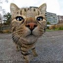 ���� ����/����/31, ��������� (���������������� �/�) - ��������� 20 ���� 2017 � ������ ���� ����������