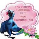 ���� �������, ���������, 73 ���� - ��������� 24 ������ 2017 � ������ ������ ��������