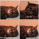 ���� �ocpucm, ������, 48 ��� - ��������� 6 ��� 2017 � ������ ���� ����������