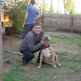 �������, ���, 50 ���