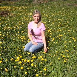 ��������, ����������, 46 ���