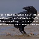 ���� ����, ������ - ��������� 12 ���� 2017 � ������ �� �����