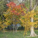  ,  -  29  2017       () 21  2017 