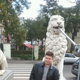 ���� ����, �����-���������, 36 ��� - ��������� 12 ���� 2017