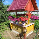 ���� ������, ����������, 81 ��� - ��������� 6 �������� 2017 � ������ ����� 2017�.�