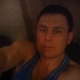 Dacent, �������, 41 ���