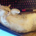 ���� �������, ��������� - ��������� 16 �������� 2017