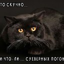 ���� ������, ������ - ��������� 8 ������ 2017