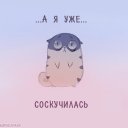 ���� ������������, ����� - ��������� 22 ������� 2017 � ������ ���� ����������