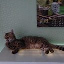 ���� Olezhka***, ����, 65 ��� - ��������� 7 ��� 2017 � ������ ���������� ������